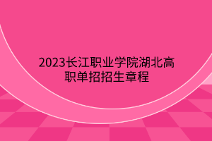 2023长江职业学院湖北高职单招招生章程