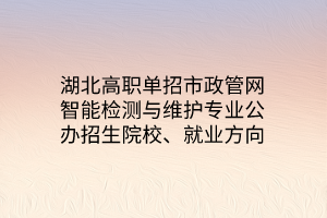 湖北高职单招市政管网智能检测与维护专业公办招生院校、就业方向