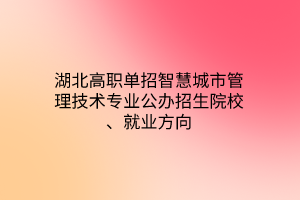 湖北高职单招智慧城市管理技术专业公办招生院校、就业方向