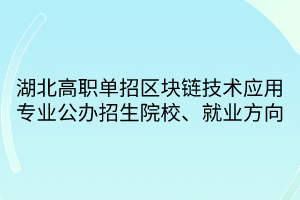 湖北高职单招区块链技术应用专业