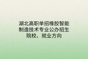 湖北高职单招橡胶智能制造技术专业公办招生院校、就业方向