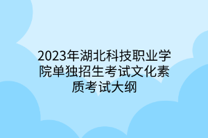 2023年湖北科技职业学院单独招生考试文化素质考试大纲