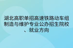 湖北高职单招高速铁路动车组制造与维护专业