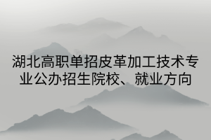 湖北高职单招皮革加工技术专业