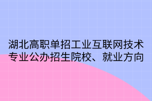 湖北高职单招工业互联网技术专业