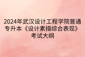 2024年武汉设计工程学院普通专升本《设计素描综合表现》考试大纲(1)