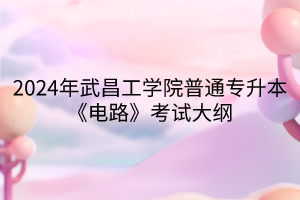 2024年武昌工学院普通专升本《电路》考试大纲(1)