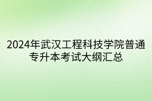 2024年武汉工程科技学院普通专升本考试大纲汇总(1)