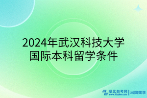 2024年武汉科技大学国际本科留学条件