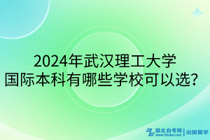 2024年武汉理工大学国际本科有哪些学校可以选？