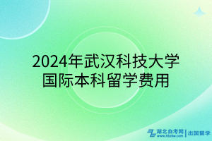 2024年武汉科技大学国际本科留学费用