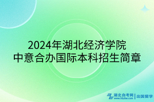 2024年湖北经济学院中意合办国际本科招生简章
