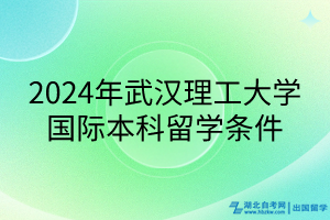 2024年武汉理工大学国际本科留学条件