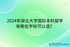 2024年湖北大学国际本科留学有哪些学校可以选？