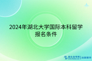 2024年湖北大学国际本科留学报名条件