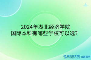 2024年湖北经济学院国际本科有哪些学校可以选？