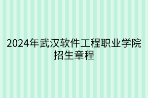 2024年武汉软件工程职业学院招生章程