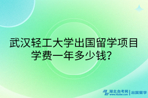 武汉轻工大学出国留学项目学费一年多少钱？