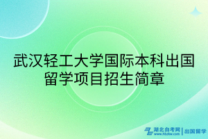 武汉轻工大学国际本科出国留学项目招生简章