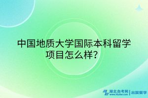 中国地质大学国际本科留学项目怎么样？