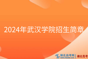 2024年武汉学院招生简章