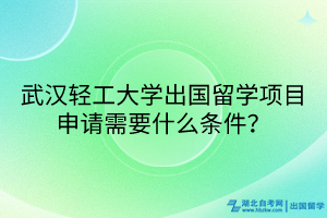 武汉轻工大学出国留学项目申请需要什么条件？