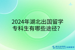 2024年湖北出国留学专科生有哪些途径？