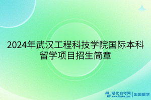 2024年武汉工程科技学院国际本科留学项目招生简章