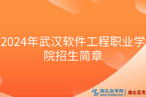 2024年武汉软件工程职业学院招生简章