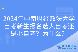 2024年中南财经政法大学自考新生报名选大自考还是小自考？为什么？