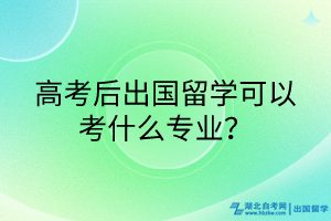 高考后出国留学可以考什么专业？