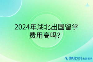 2024年湖北出国留学费用高吗？