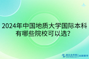 2024年中国地质大学国际本科有哪些院校可以选？