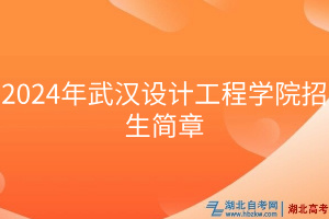 2024年武汉设计工程学院招生简章