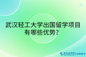 武汉轻工大学出国留学项目有哪些优势？