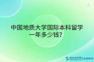 中国地质大学国际本科留学一年多少钱？