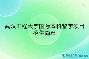 武汉工程大学国际本科留学项目招生简章