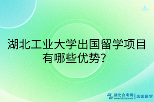 湖北工业大学出国留学项目有哪些优势？