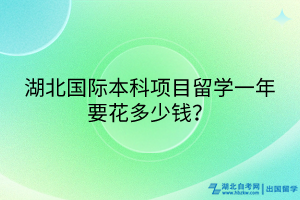 湖北国际本科项目一年要花多少钱？