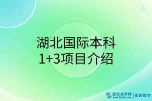 湖北国际本科1+3项目介绍