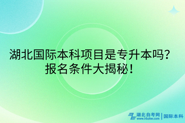 湖北国际本科项目是专升本吗？报名条件大揭秘！