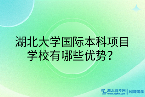 湖北大学国际本科项目学校有哪些优势？