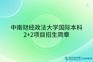 中南财经政法大学国际本科2+2项目招生简章