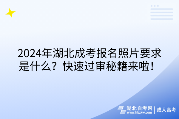 2024年湖北成考报名照片要求是什么？快速过审秘籍来啦！