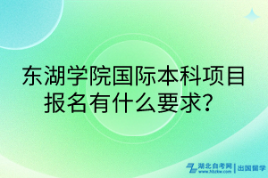 东湖学院国际本科项目报名有什么要求？