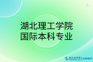 湖北理工学院国际本科专业