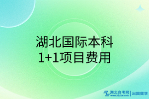 湖北国际本科1+1项目费用