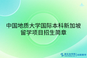 中国地质大学国际本科新加坡留学项目招生简章