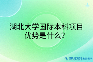 湖北大学国际本科项目优势是什么？