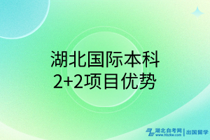 湖北国际本科2+2项目优势